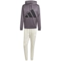Adidas Sportswear Big Logo French Terry Hooded Herren Jogginganzug
