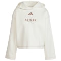 Adidas ALL SZN Loose Graphic Damen Kapuzensweater