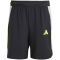 Adidas Tech Apparel Colorblock Herren Shorts