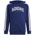 Adidas Codes Collegiate Graphic Kinder Kapuzensweater