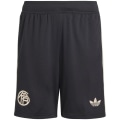 Adidas FC Bayern München 2025/2026 Third Kinder Teamhose