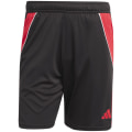 Adidas Tiro24 Training Short Herren
