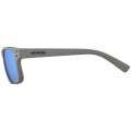 Alpina Kosmic Sonnenbrille Unisex