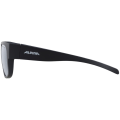 Alpina Overview II Q Sonnenbrille Unisex