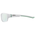 Alpina Lyron S Sonnenbrille Unisex