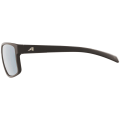 Alpina Nacan I Sonnenbrille Unisex