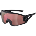 Alpina 5W1Ng Q Sonnenbrille Unisex