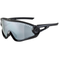 Alpina 5W1Ng Sonnenbrille Unisex