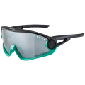 Alpina 5W1Ng Sonnenbrille Unisex