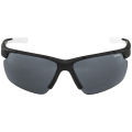 Alpina Defey HR Sonnenbrille Unisex