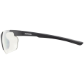 Alpina Defey HR Sonnenbrille Unisex
