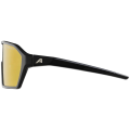 Alpina Ram Q-Lite V Sonnenbrille Unisex