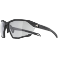 Alpina Twist Six V Sonnenbrille Unisex