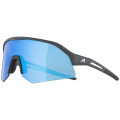 Alpina Sonic HR Q Sonnenbrille Unisex
