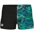 Arena Daly Swim Jungen Badehose