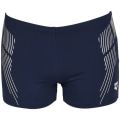 Arena Streak Herren Badehose