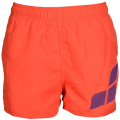 Arena Beach Logo Jungen Badehose