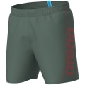 Arena Fundamentals Logo R Herren Badehose