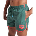 Arena Big Logo Borders Beach Herren Badehose