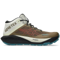 Asics Gel-Trabuco MT GTX Herren Trailrunningschuhe