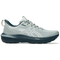 Asics GT-1000 14 TR Herren Laufschuhe