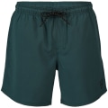 Brunotti Bru-conic-N Herren Badehose