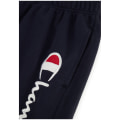 Champion Shorts Herren Bermuda Shorts