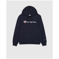 Champion Hooded Herren Kapuzensweater