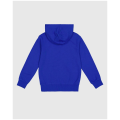 Champion Hooded Kinder Kapuzensweater