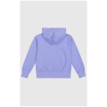 Champion Hooded Kinder Kapuzensweater