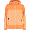 CMP Fix Hood