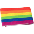 Derbystar Kapitänsbinde Rainbow Armbinden