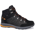 Hanwag Torsby GTX Herren Trekkingstiefel