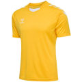 Hummel Core XK Poly Herren T-Shirt