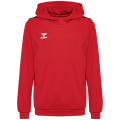 Hummel Authentic PL Kinder Kapuzensweater