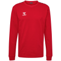 Hummel Authentic CO Training Sweatshirt