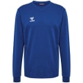 Hummel Authentic CO Training Sweatshirt