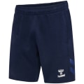 Hummel Travel Herren Shorts