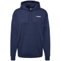 Hummel LGC Nate Herren Kapuzensweater