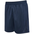 Hummel Active PL Herren Shorts