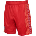 Hummel 1. FC Köln 23/24 Karneval Shorts