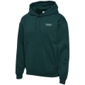 Hummel Loose Sportswear Kapuzensweater