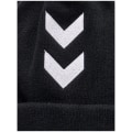 Hummel Pro Hut