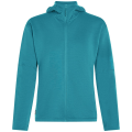 Icebreaker Merino 360 Realfleece Elem Z Hood Damen Kleid