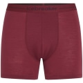 Icebreaker Merino 125 Cool-Lite Anatomica Herren Unterhose