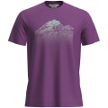 Icebreaker Merino 150 Tech Lite T Ris Light Herren T-Shirt