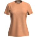 Icebreaker Merino 150 Tech Lite T Winter Flo Damen T-Shirt