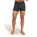 Icebreaker Anatomica Herren Unterhose