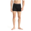 Icebreaker Anatomica Herren Unterhose