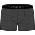 Icebreaker Anatomica Herren Unterhose